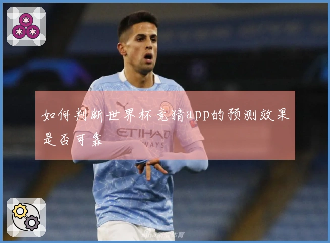 如何判断世界杯竞猜app的预测效果是否可靠