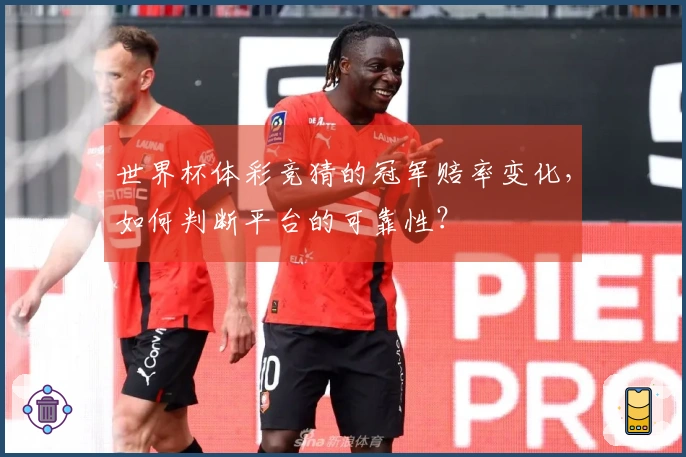 世界杯体彩竞猜的冠军赔率变化，如何判断平台的可靠性？