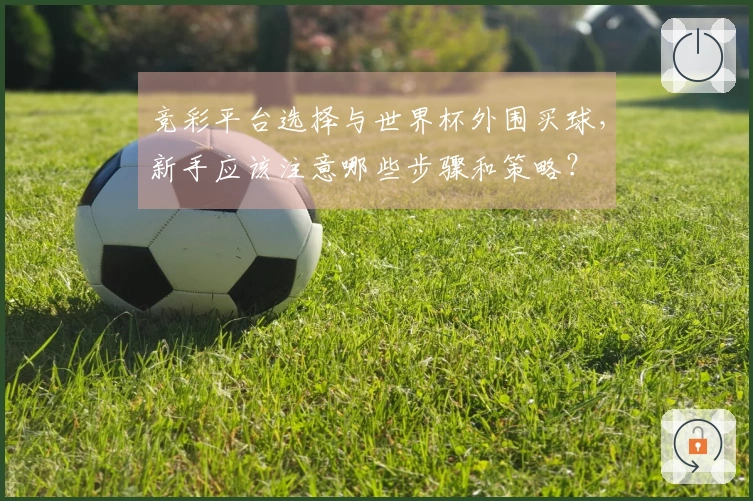竞彩平台选择与世界杯外围买球，新手应该注意哪些步骤和策略？