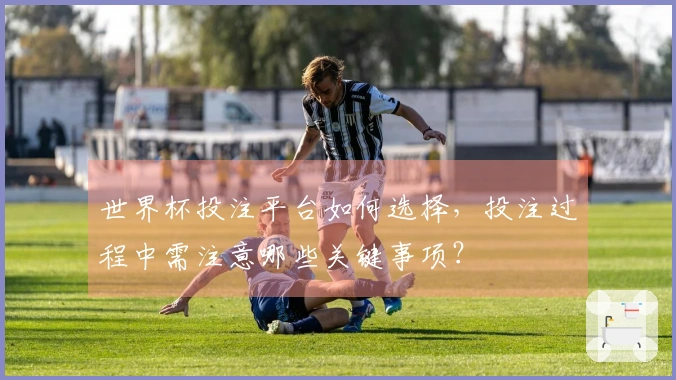 世界杯投注平台如何选择，投注过程中需注意哪些关键事项？