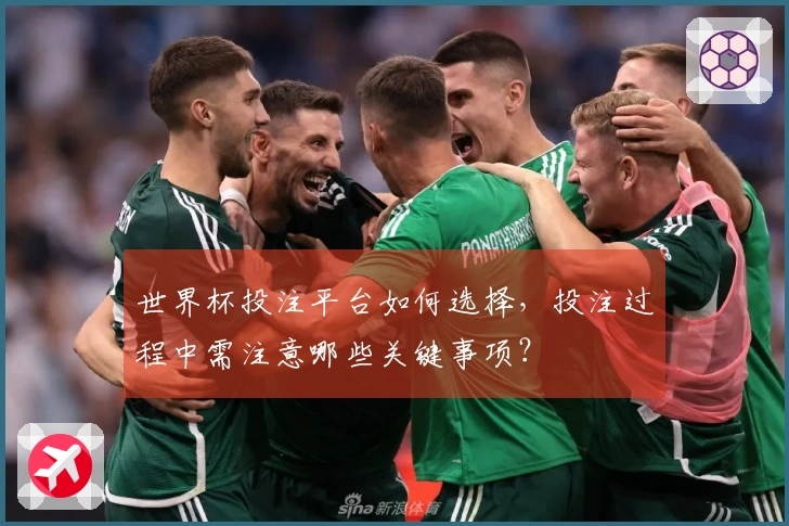 世界杯投注平台如何选择，投注过程中需注意哪些关键事项？